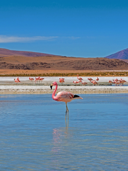 Expedição Fotográfica Salar de Uyuni