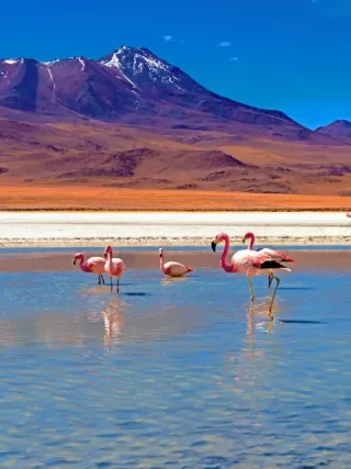 Salar de Uyuni