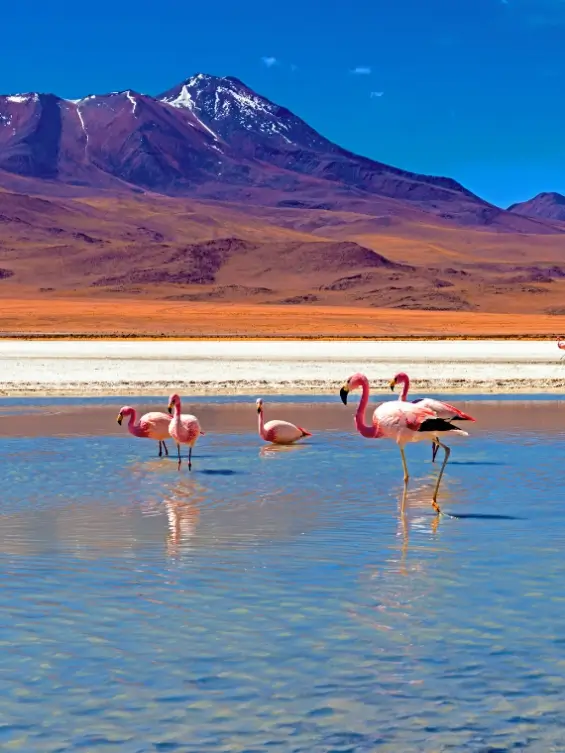 Salar de Uyuni