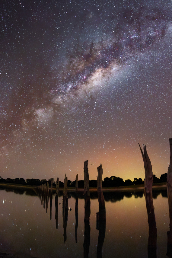 Foto do pantanal à noite